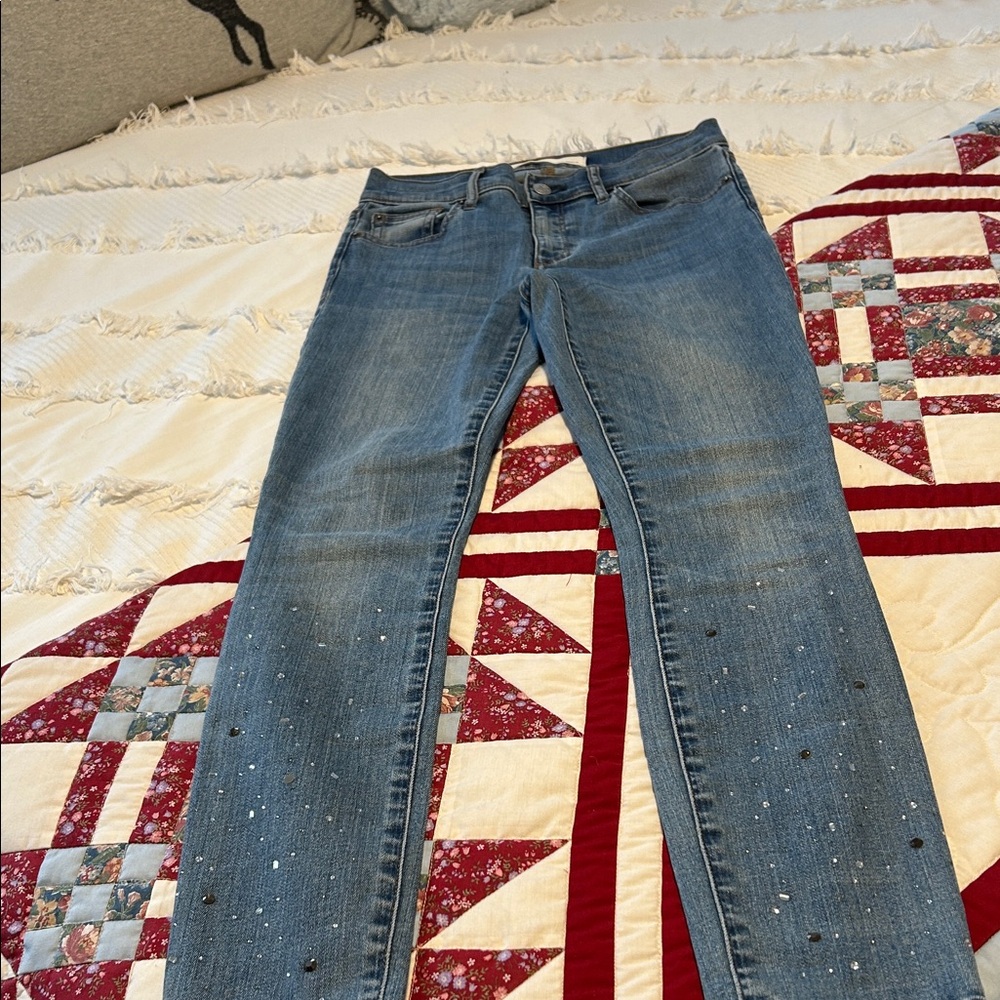 Tiny Sparkle Leg Accent Blue Skinny Jeans